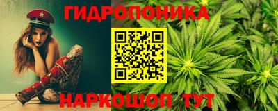 индика Кинель