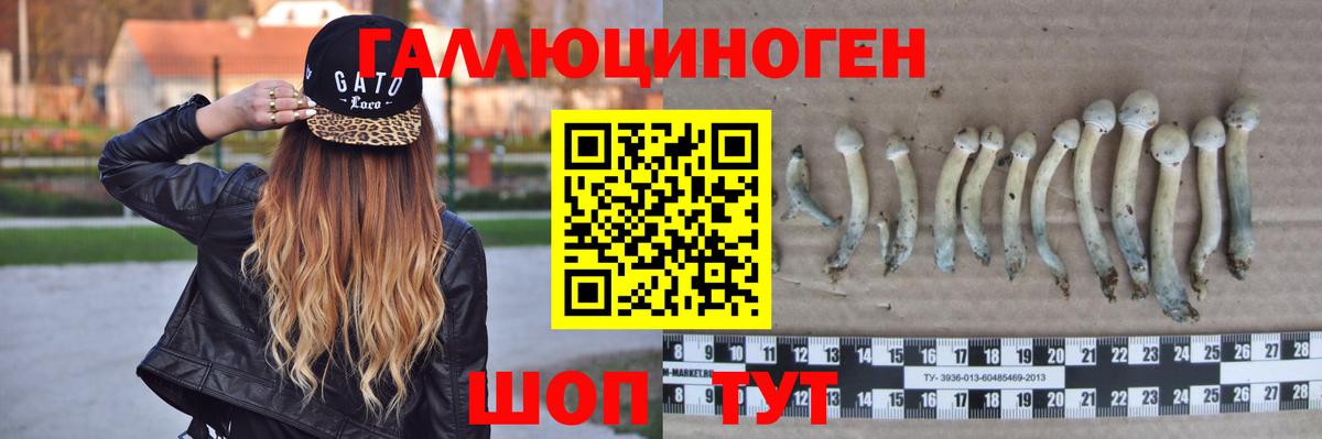 Галлюциногенные грибы Psilocybe  Галлюциногенные грибы Cubensis  Энгельс  Вход с VPN 